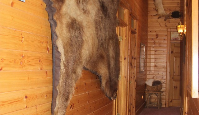 Fish Kodiak Adventures Riverside Inn Open For Private Bookings!