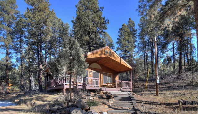 Forest Lake Hideout | Private Cabin w/Fireplace - Deck with Grill