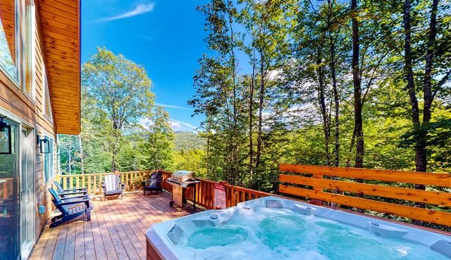 Gorgeous dog-friendly cabin with great view, deck, hot tub, & gas fireplace