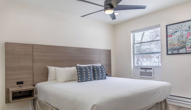 Great Deal! Two Great Units, Near Steamboat Ski Resort, Free Shuttle Service, Jacuzzi, Mountain Biking