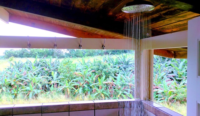 Hamakua Guesthouse