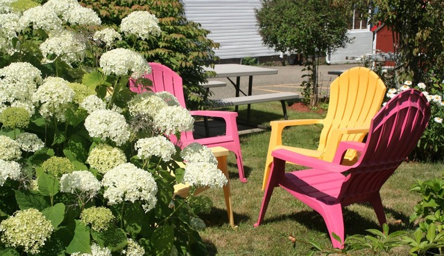 Harmony B&B & Suites