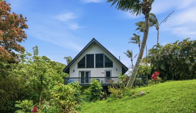 Hawi Hideaway- A Jungle Oasis