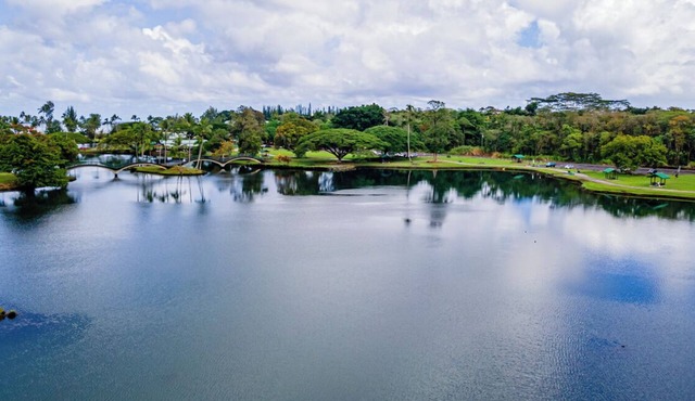Hilo Lagoon Centre 814 2 King BR 2BA AC Ocean View