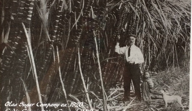 Historic Sugar Era Home Close to National Park – A Local Staycation Favorite!