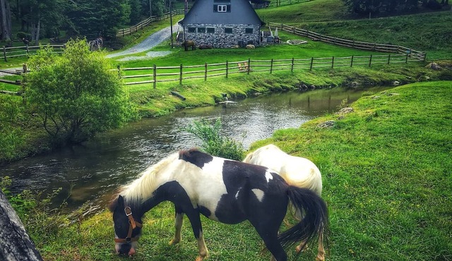 Incredible Secluded Barn with Hot-tub and Petting Zoo in Sugar Grove, North Carolina