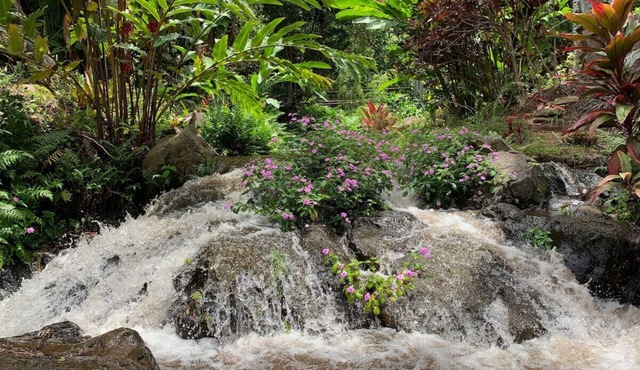 Inspired 1-BR, Magic Gardens, Stream and Waterfall