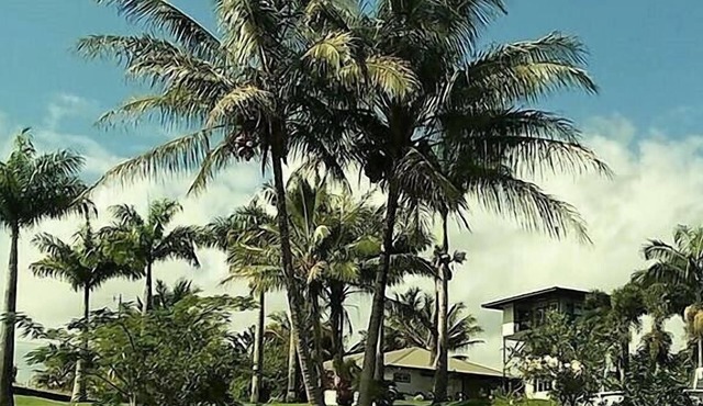 Island Goode's - Luxury Adults Only Accommodation