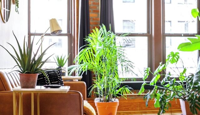 Jungle House Luxury Lofts – Short North High Street