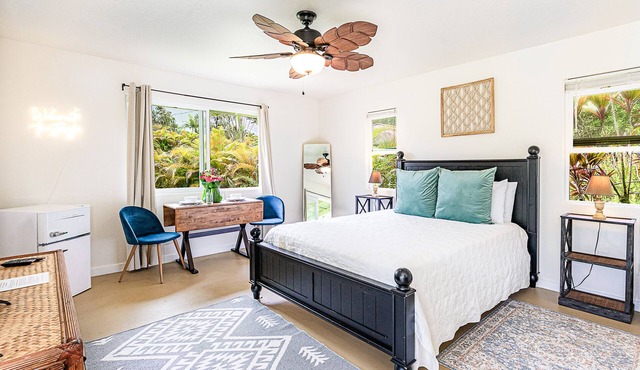 Jungle Studio - Cute and Cozy w/Queen Bed, Wifi, Full Bathroom