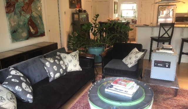 Light & Art filled 3 BDRM 2.5 bath luxury AVL home close to Biltmore and all AVL