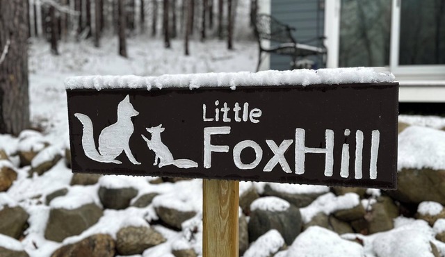 Little Fox Hill - a tiny house in the woods by a brook