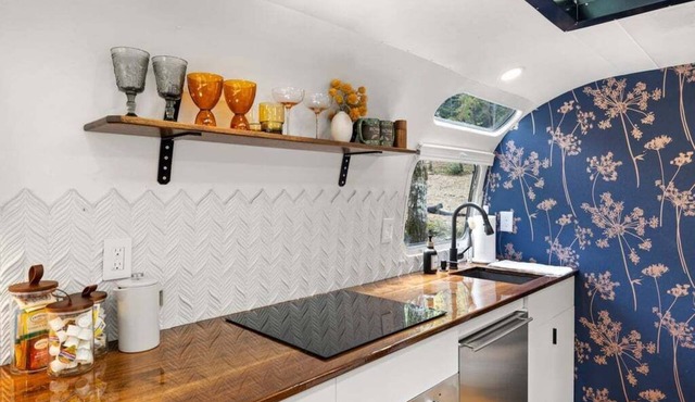 Luxury Airstream w/hot tub, king bed, & grill