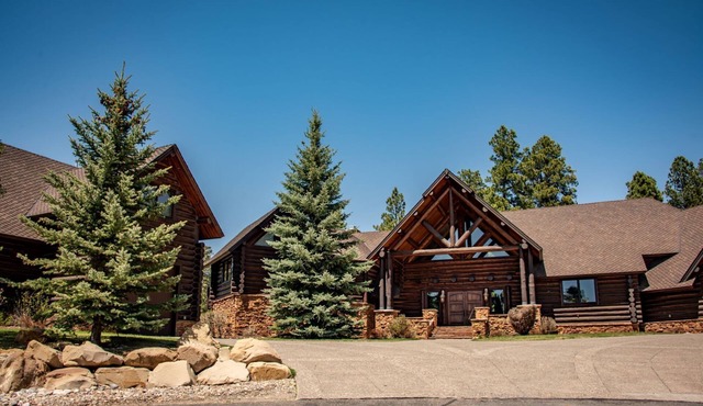 Majestic Colorado Log Home, Borders National Forest, Stunning