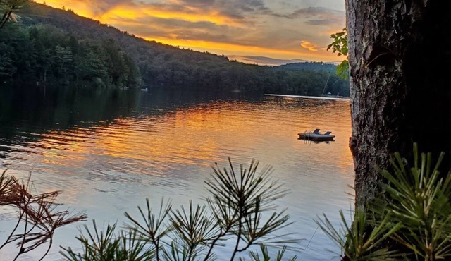 Minutes from Belfast, Maine. Cozy waterfront Cabin! Come explore and relax!