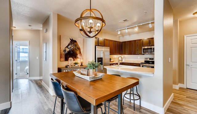 Mountain Modern Luxury 3BR 2BA Attach Garage near DTC/Parker-Short and Long Term