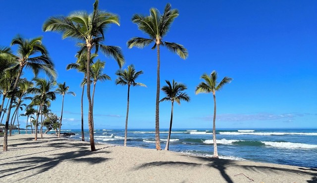 NEW! Iconic Hawaiian Getaway at Mauna Lani. Beach, Bike, Golf, Books, Relax.