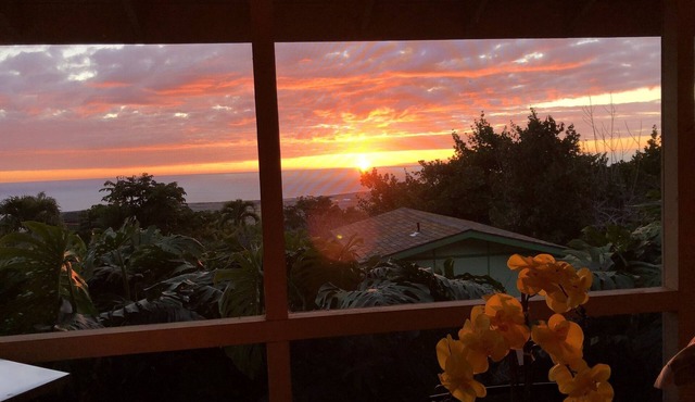 New Listing: Spacious Suite for 4x with panoramic ocean view