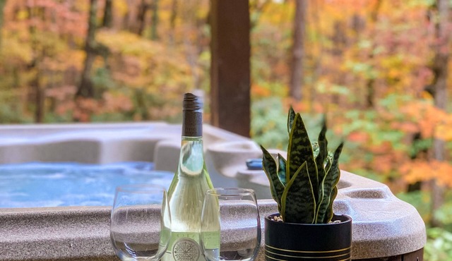Paradise Escape: Minutes from Blue Ridge, Hot-Tub, 100+ 5-star Reviews!