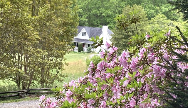 Perfect Getaway to see Biltmore, Lake Lure, Black Mountain, Blue Ridge Parkway