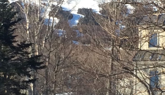 Perfect Ski in Location - 3 Bd, 2 Bath Cozy Condo, Close To Lifts and Village