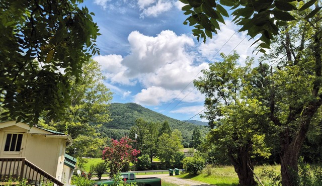 Pisgah's Peaceful Pocket
