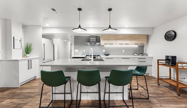 Private Basement Perfect For Concerts & Adventures