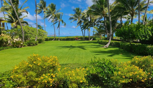 Private Beachfront Cottages - Sleeps 8 Comfortably-3bedroom/3 bath