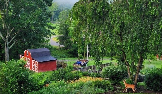 Private Mountain Guest Suite with Hot Tub + Fire Pit - 14 miles to Asheville