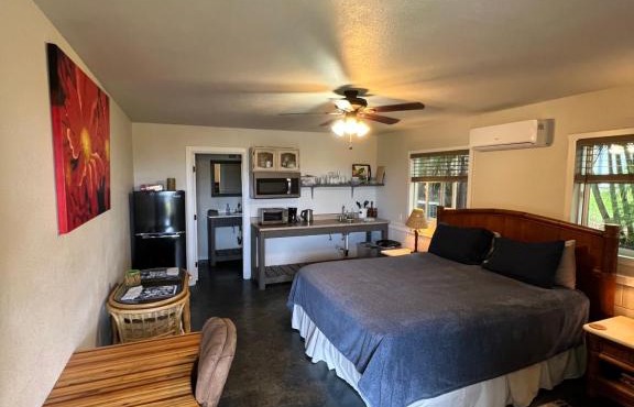 Private Ohana on the lush Hamakua coast with AC