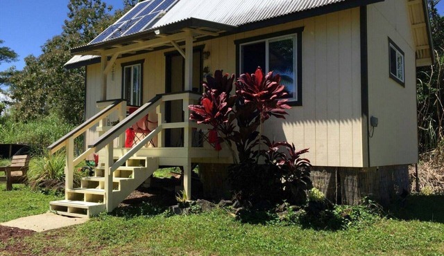 Romantic Cabin on a gated aquaponics farm centrally located for exploring.