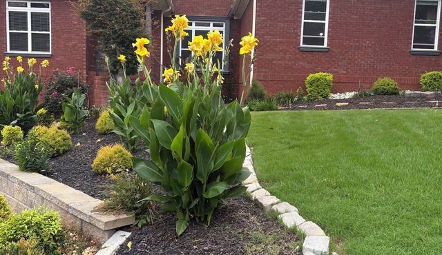 Rooms located upstairs, suited for a family. Enjoy all of the house, as well.