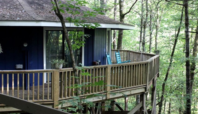 Rustic Tree Top Cabin in Sky Valley, Georgia