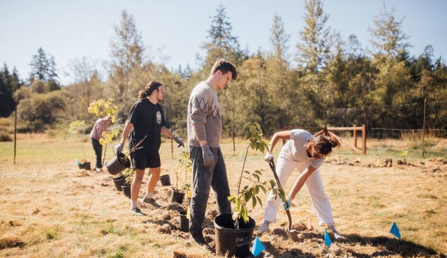 Saturn's Return — Regenerative Farm & Inn – 42 acre campus, fields, and forest
