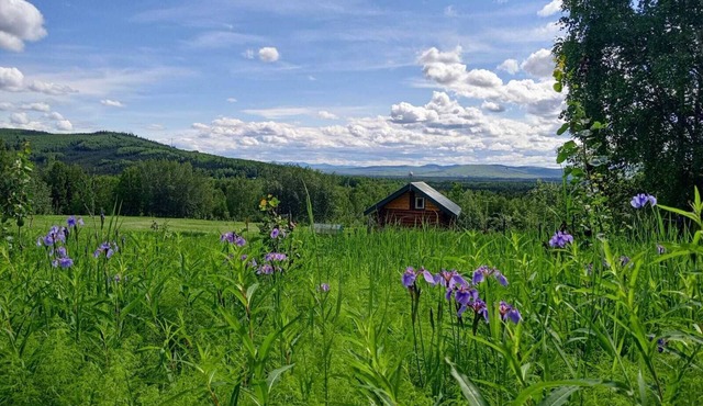 Secluded Log Cabin, 30 min from Chena Hot Springs