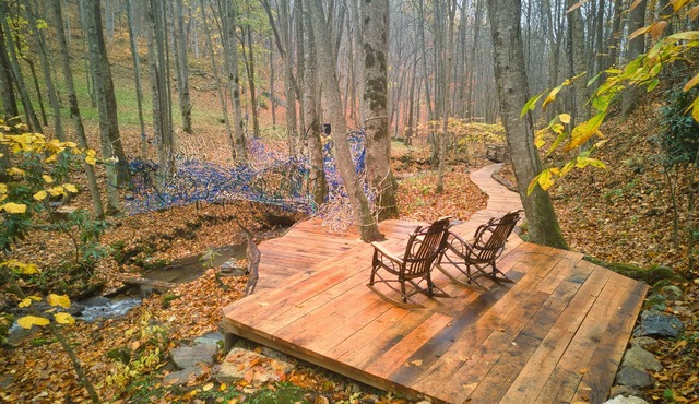 Secluded Nature Retreat: Views, 5 Miles Pvt. Hiking Trails, Waterfall & Tree Net