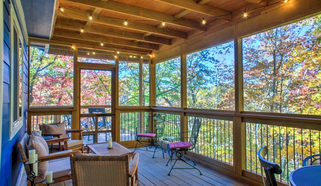 Secluded Treehouse w/Hot Tub + Biltmore Pass | Pet-Friendly Forest Escape