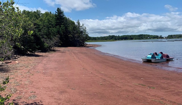 Semi-private beach, huge screened in deck, woods on fenced in property.