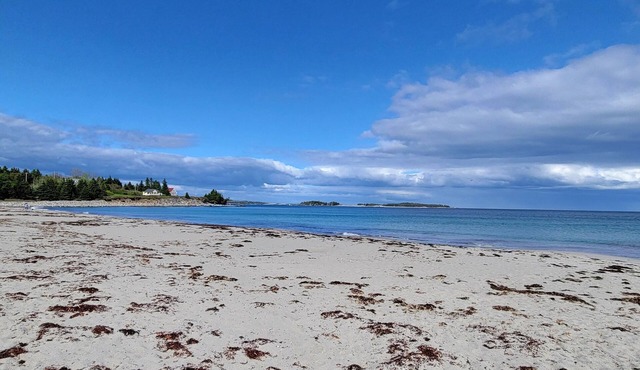 Sept Availability! Steps to St Margaret's Bay