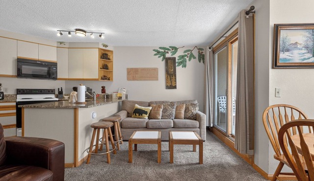 Ski-in Ski-Out studio with updated interior