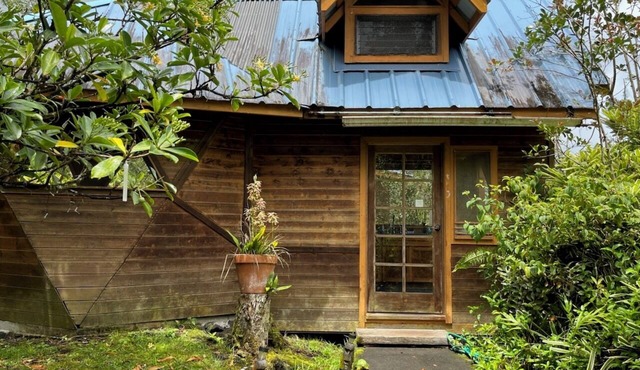 Solar powered bohemian loft cottage with birds, lizards, and frogs