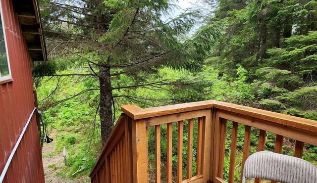 Stunning Cabin with Fantastic Forest Views in Seward, Alaska