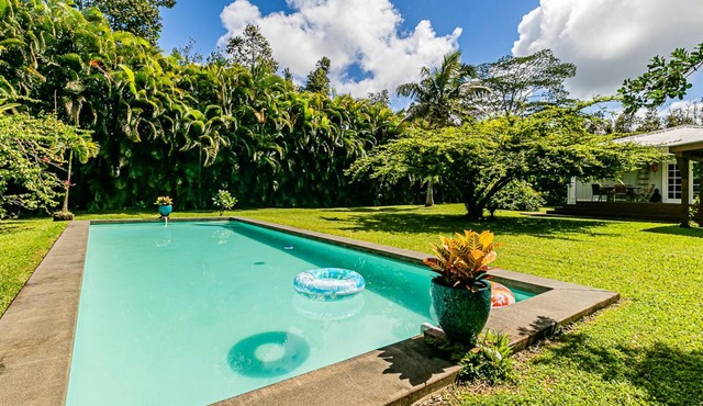 SWEET Luxury Cottage with Private Pool and Studio - Jungle Villa in Keaau