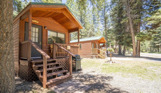 The Lupine Cabin #10