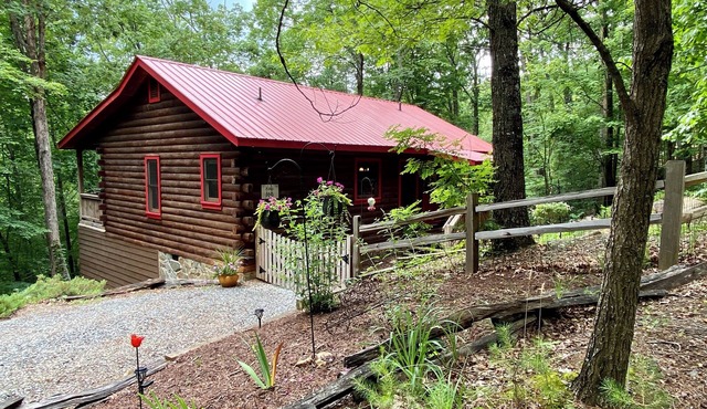 The Red Roof Cottage in Cherry Log Mountain