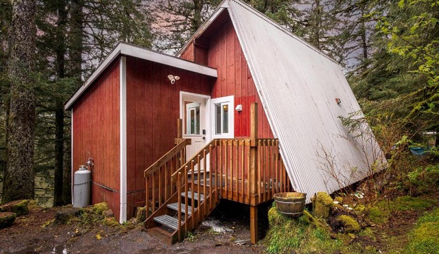 THE SHORELINE CABIN
