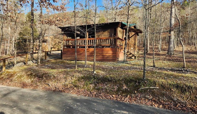 The True Eagle Cabin in Mena