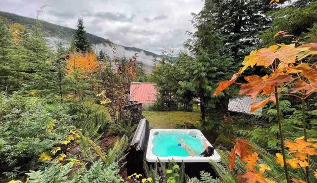 Timber River Cabin with hot tub and trail to river