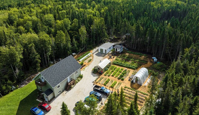 Upper Humber Settlement A FarmStay BNB