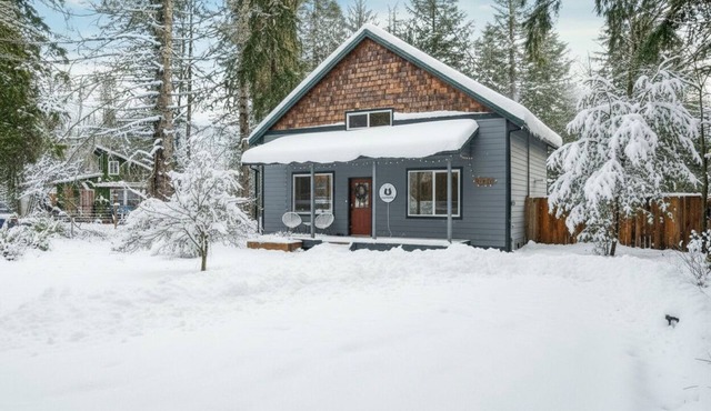 Ursa Cabin Mt. Rainier: SAUNA, Hot Tub, Games, EV Charger, Pizza Oven